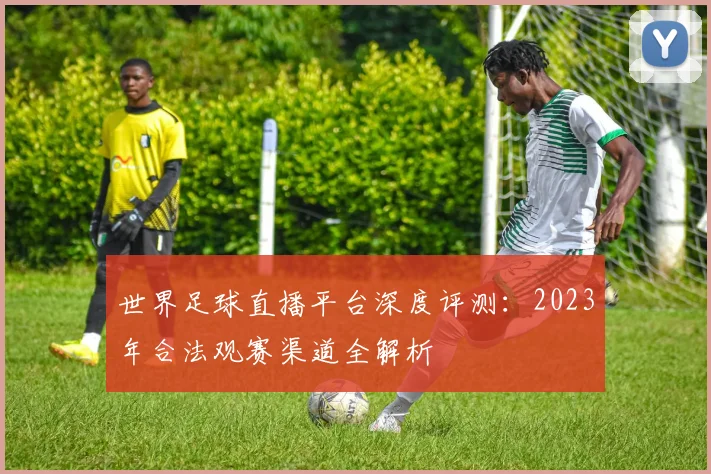 世界足球直播平台深度评测:2023年合法观赛渠道全解析